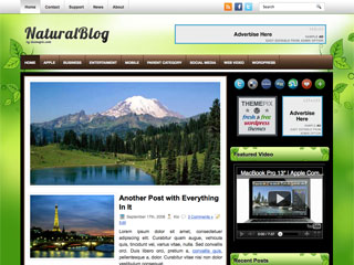 NaturalBlog Free WP Blog Template –