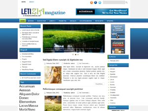 Free WordPress Theme – Letizia