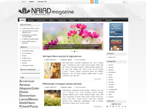 Free WordPress Theme – Naiad