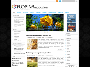 Free WordPress Theme – Florina