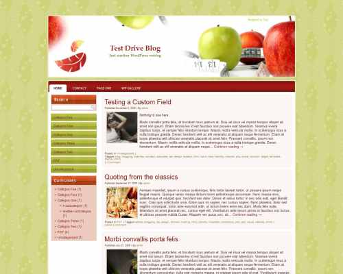 Dieting WP Theme