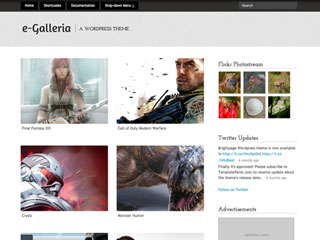 e-Galleria WordPress Theme