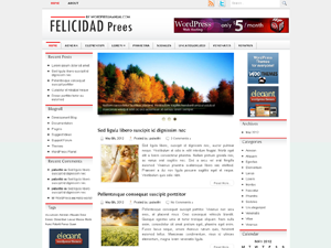 Free WordPress Theme – Felicidad