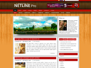 Free WordPress Theme – Netline