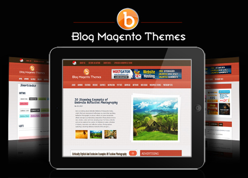 Blog Magento Themes