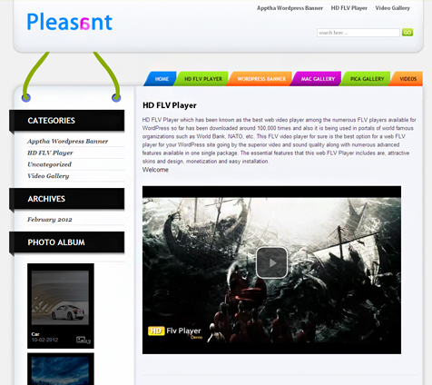 Pleasant Theme – WordPress Theme with professional Design