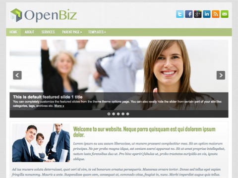 OpenBiz