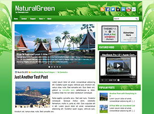 NaturalGreen Free WP Blog Template –