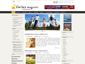 Free WordPress Theme – Daltex