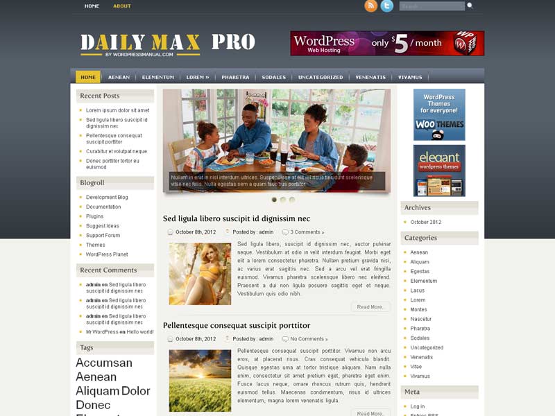 Free WordPress Theme – Dailymax