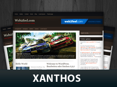 Xanthos WP Free Theme