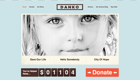 Danko Charity WP Theme