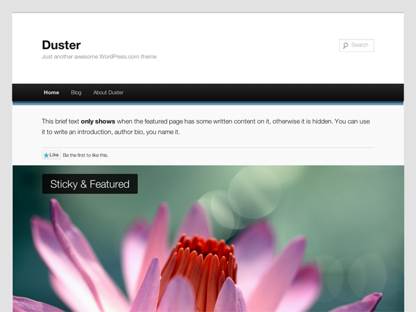 Duster WP Free Theme