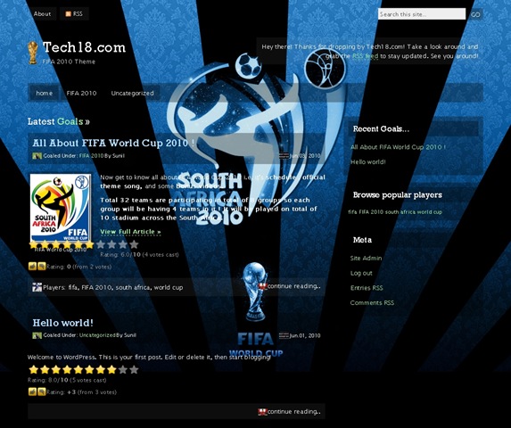 FIFA 2010 WordPress Theme