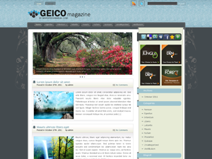 Free WordPress Theme – Geico