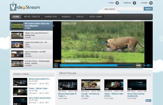 WordPress Video Stream Theme