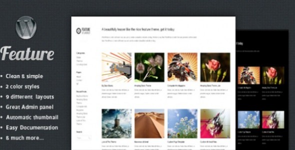 The Feature Photography Theme