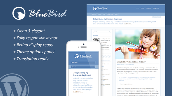 BlueBird – Beautiful WordPress Theme