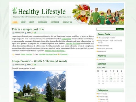 Healthy Lifestyle WordPress Theme