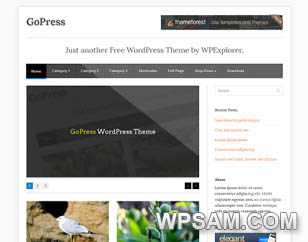 GoPress WP Theme