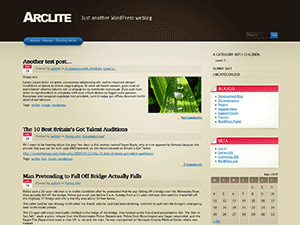 Arclite free theme