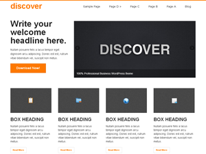 Discover WordPress Theme