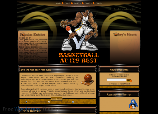 Basketball AIB Free WordPress Theme