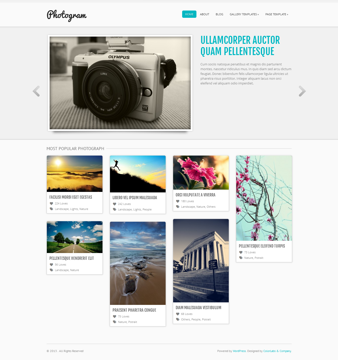 Photogram Photography WordPress Theme